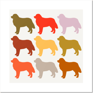 Bernese Mountain Dog in Rainbow Colors Posters and Art